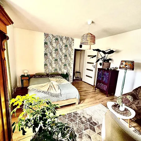 Viridi Appartamento Radomierz