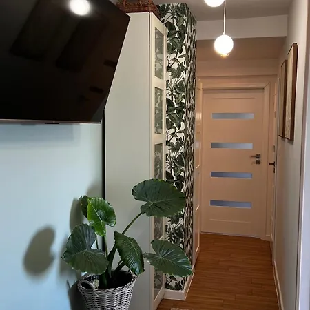 Viridi Apartamento Radomierz