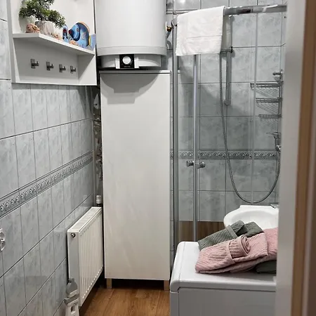 Apartamento Viridi Radomierz