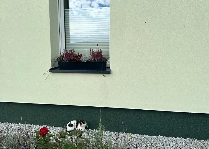 Appartamento Viridi Radomierz