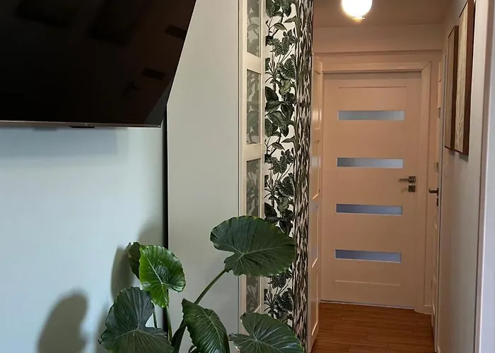 Viridi Apartment Radomierz